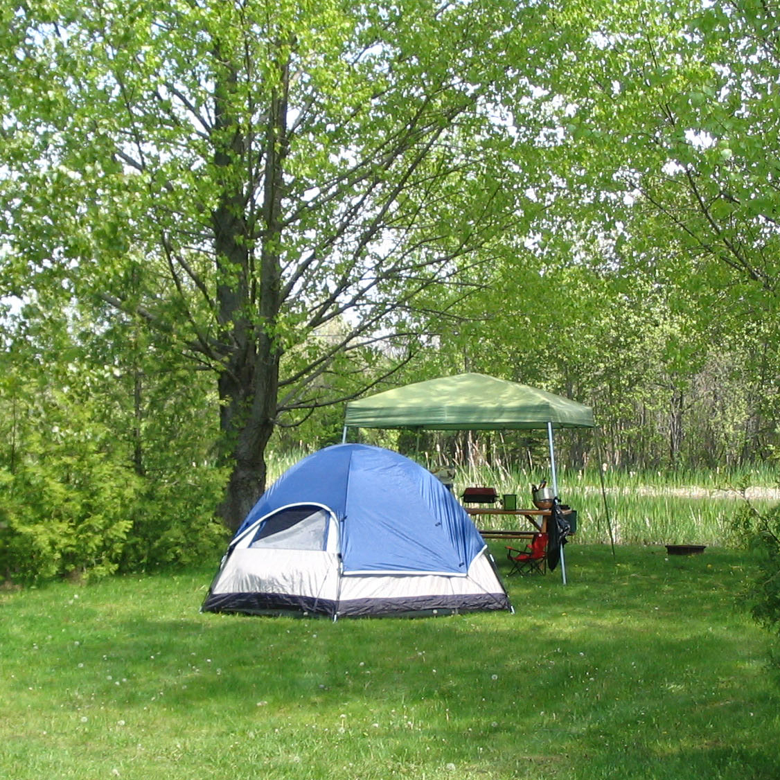 basic-tent-site-home