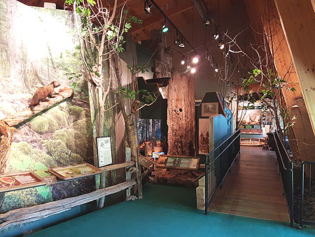 visitor-center-museum-4