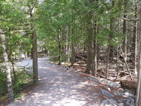 burnt-loop-trail2