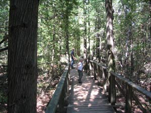 nat-park-trail